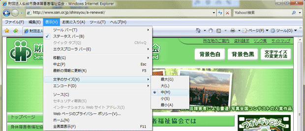Internet Explorer 7.0の表示画像